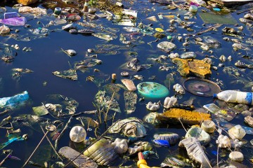 Water Pollution: Causes, Effects, and Solutions
